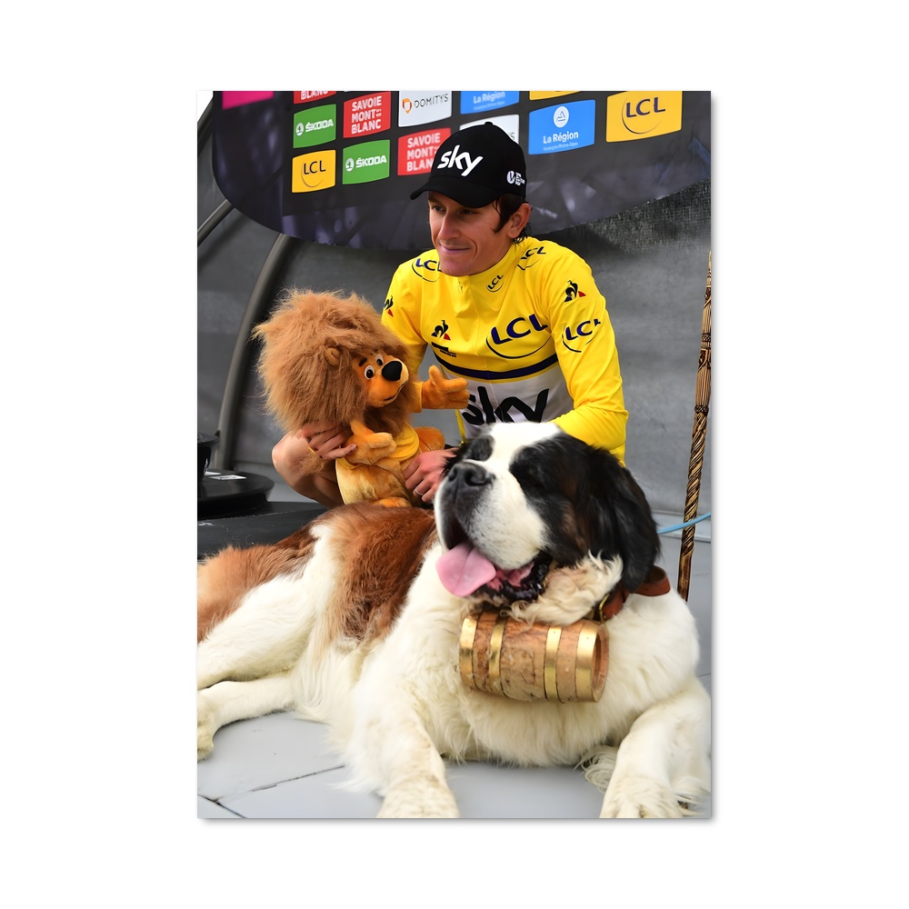 Poster Criterium de dauphine